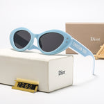 Classic Sunglasses - 113