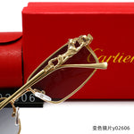 Classic Sunglasses - 137