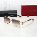Classic Sunglasses - 163