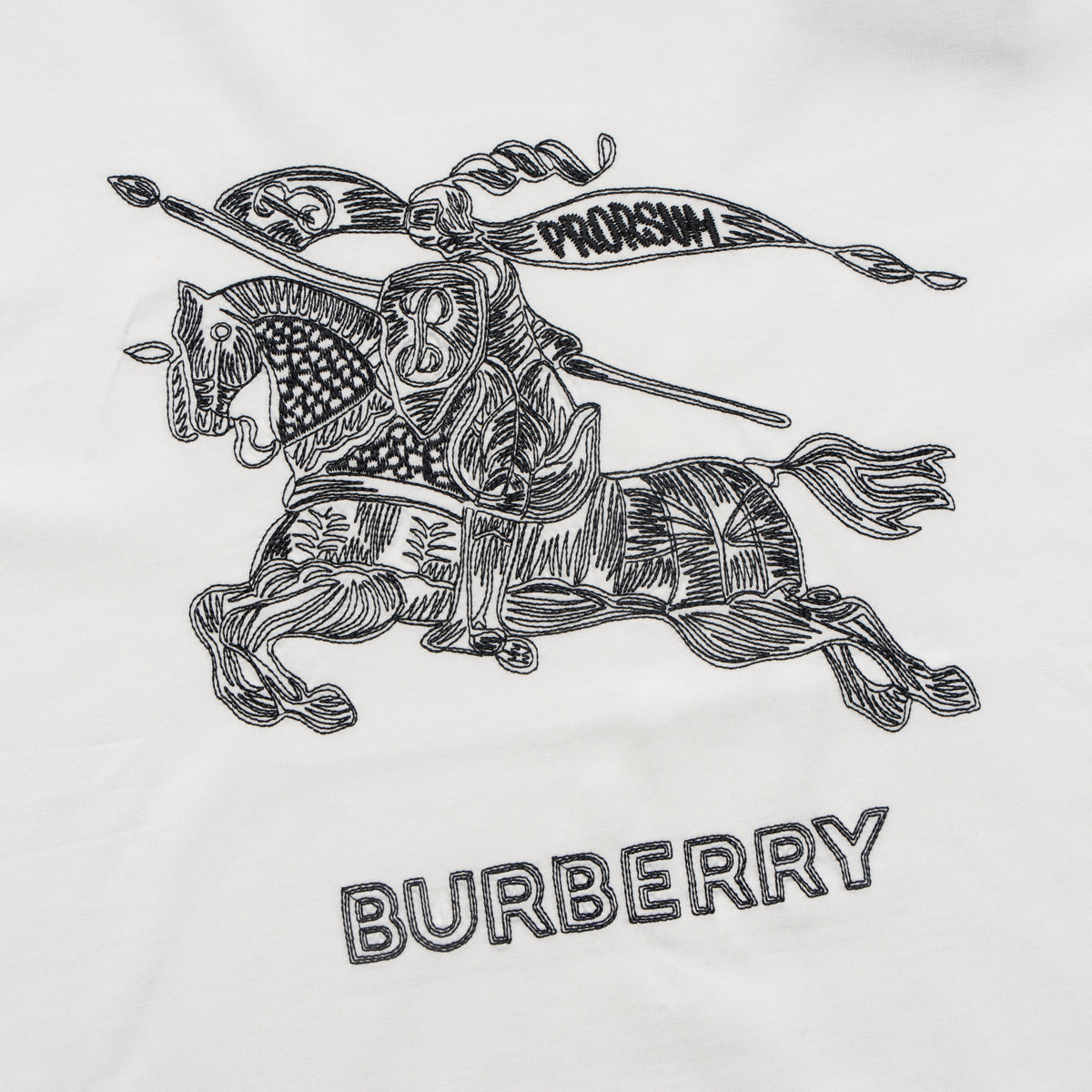 Printed T-Shirt: High-End Fashion Statement-1183