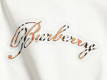 Classic Fashion Sweater-1193