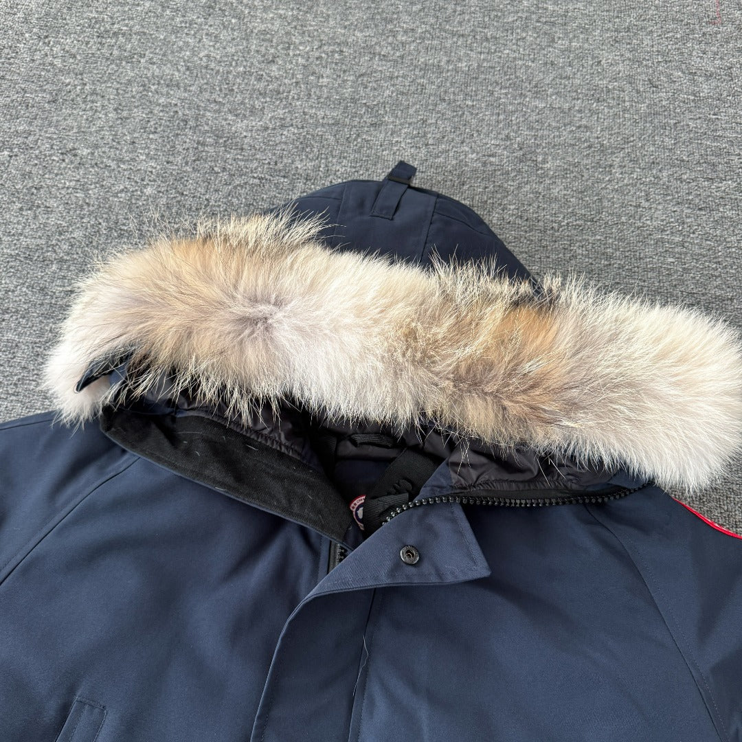 Classic down jacket-83
