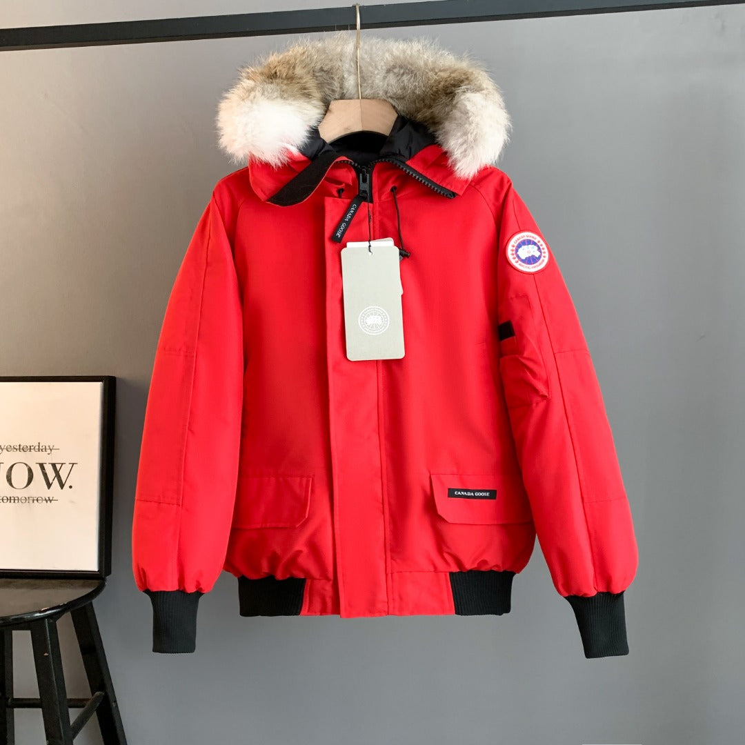 Classic down jacket-86