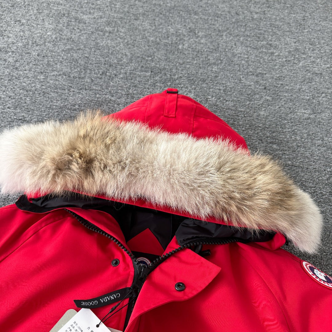 Classic down jacket-86