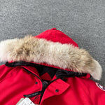 Classic down jacket-86