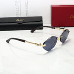 Classic Sunglasses - 164