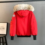 Classic down jacket-86