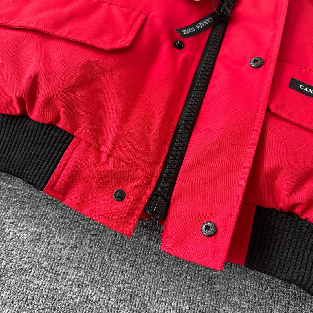Classic down jacket-86