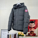 Classic down jacket-108